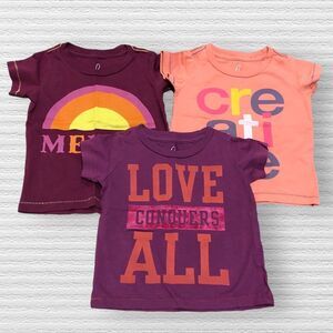 Peek 6-12 Month Baby Girl Graphic Tee Shirts Purple Pink Orange Fall Pima Cotton